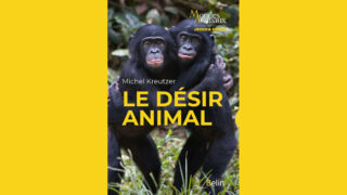 La compréhension de la vie animale se fait parfois très savante. Peut-être beaucoup trop !
