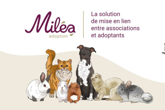 Désengorger les refuges en favorisant l’adoption responsable des animaux de compagnie, telle est la mission de Miléa adoption !