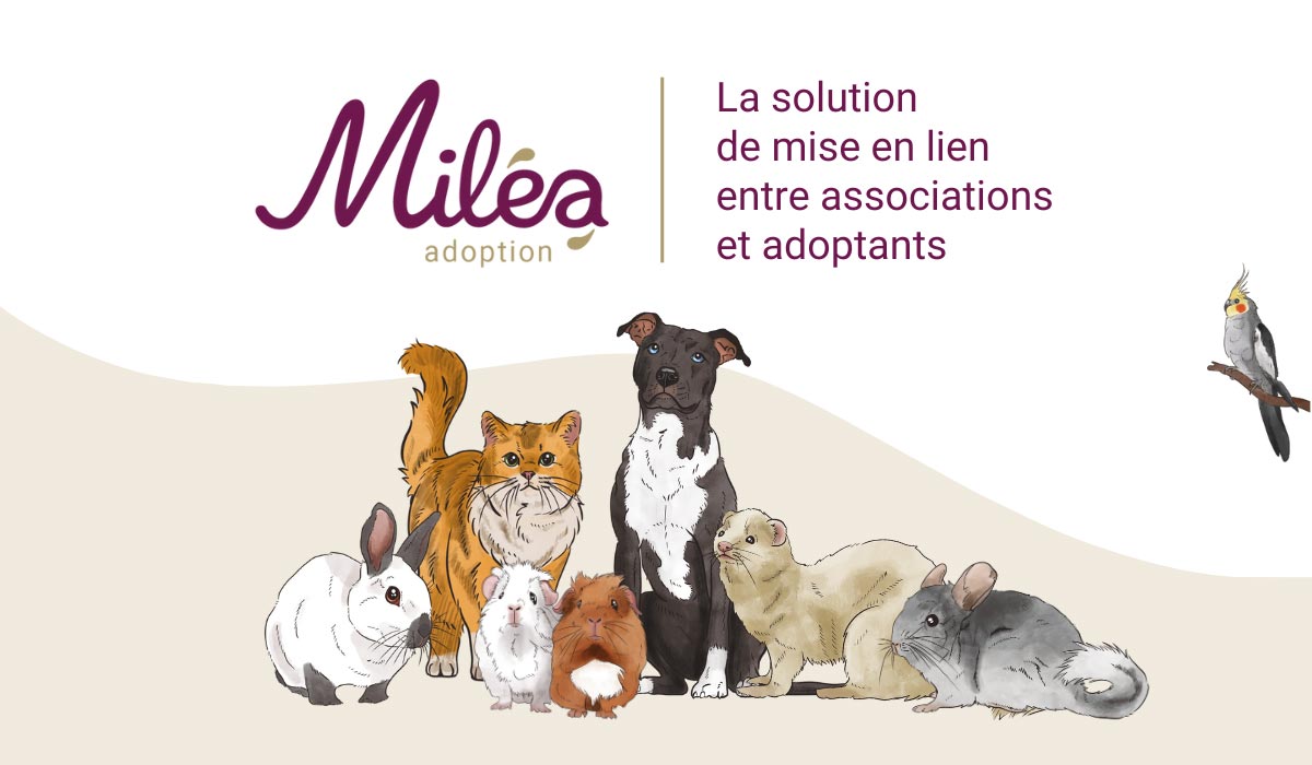 Désengorger les refuges en favorisant l’adoption responsable des animaux de compagnie, telle est la mission de Miléa adoption !