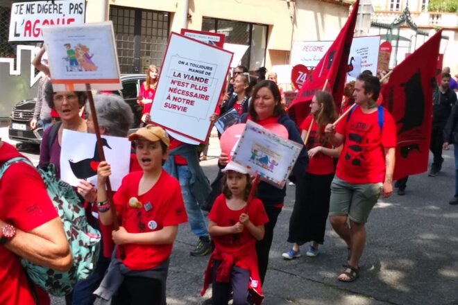 La parole aux MINIS VEGANS