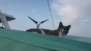 Moon à l’abordage