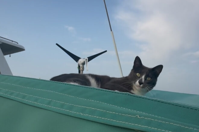 Moon à l’abordage