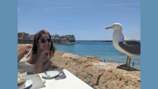 Habituation des animaux sauvages
