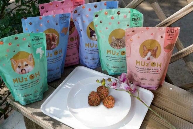 Quelle est la meilleure nourriture pour les chats et chiens ?