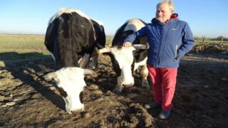 Les “canailles” ont besoin de votre aide…