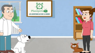 Rex et Minou : la série animée de Planipets qui montre ce que vos animaux pensent vraiment de vous