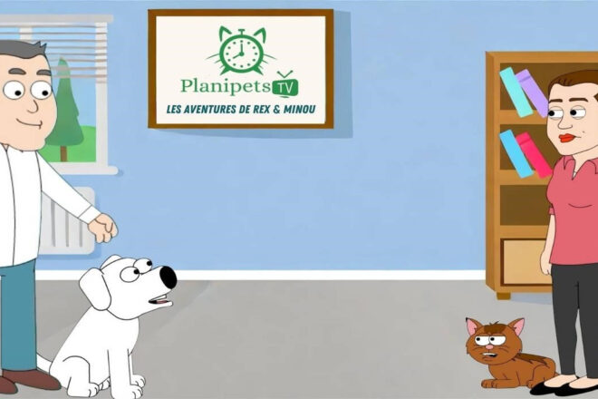 Rex et Minou : la série animée de Planipets qui montre ce que vos animaux pensent vraiment de vous