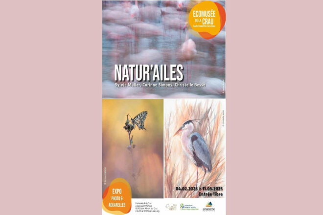 Exposition « Natu’Ailes », un voyage au cœur de la faune de Crau et Camargue