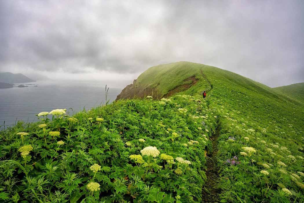 Congrès mondial de la nature : les grandes conclusions