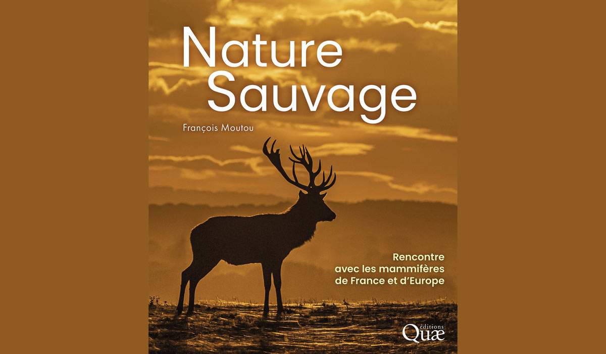 Nature Sauvage : rencontre avec les mammifères de France et d’Europe