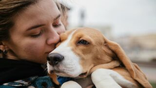 95% des Français estiment que leur animal de compagnie améliore leur santé mentale (Ce chiffre grimpe à 97% chez les 18-24 ans)