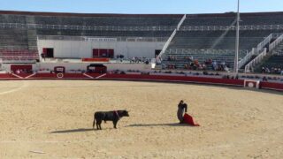 BETARRA en redressement judiciaire : l’échec retentissant d’un système sous perfusion municipale depuis des années