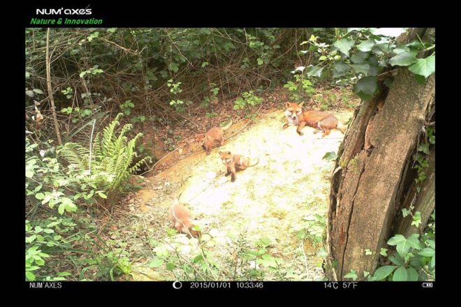 NUM’AXES déploie l’innovation à 360° pour tous les passionnés de nature !