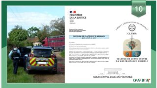 65e AG de l’OABA : quelles mobilisations contre la maltraitance animale ?