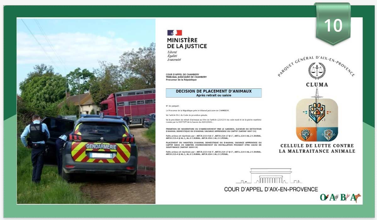65e AG de l’OABA : quelles mobilisations contre la maltraitance animale ?