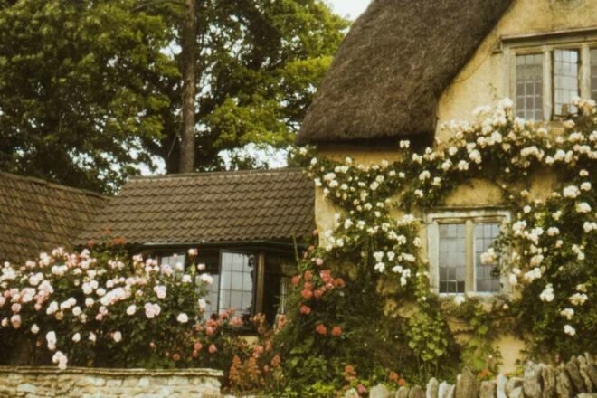 L’Océan au Bout du Sentier, un sanctuaire pédagogique en création dans le Grand Est