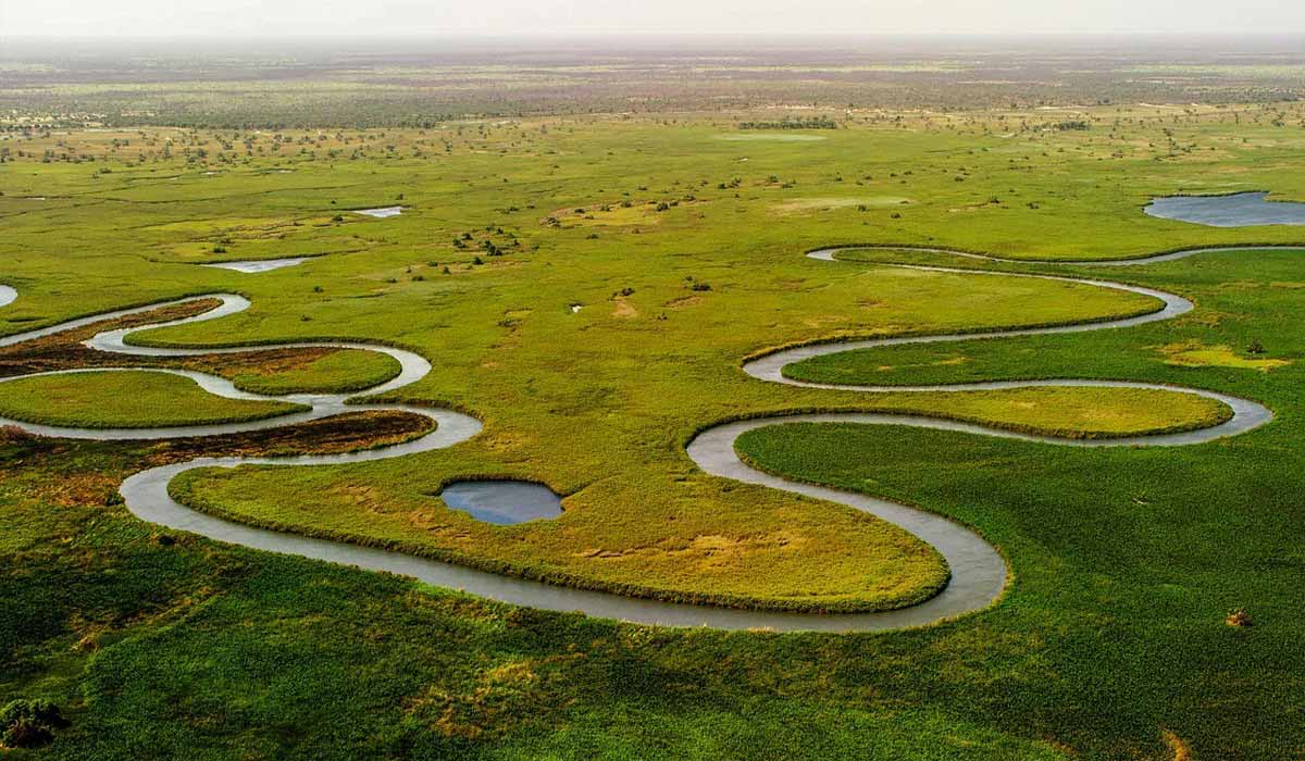 Lancement du Cercle des juristes sur les droits de la Nature