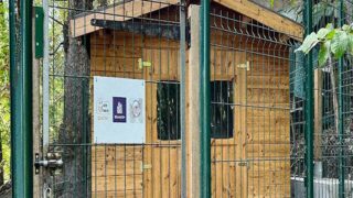 Pour mettre en sécurité les chats errants de Briançon, inauguration du Chatipi le 30 avril 2024 à 17h