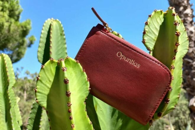 Pourquoi ne pas passer au cuir végétal avec Opuntias ?