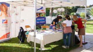 Lancement de la 3e édition de la semaine nationale du chien – Le chien et l’enfant : un lien unique