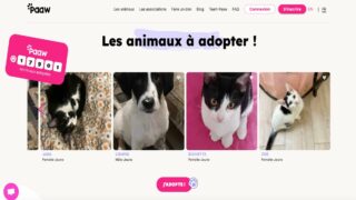 Paaw : une révolution pour adopter un chien ou un chat en 2024