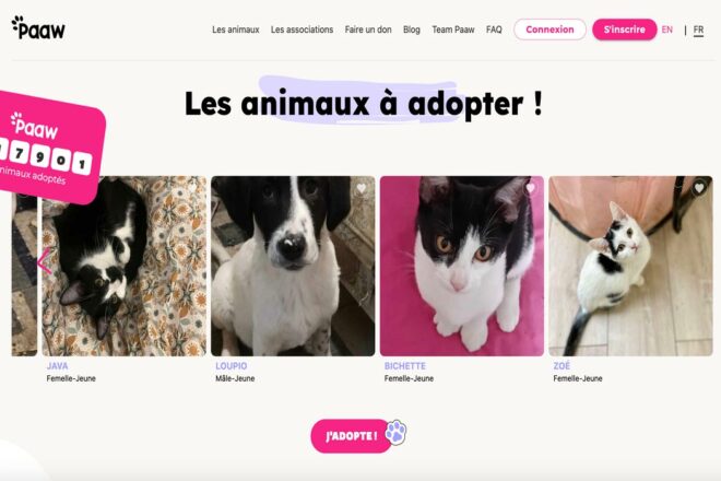 Paaw : une révolution pour adopter un chien ou un chat en 2024