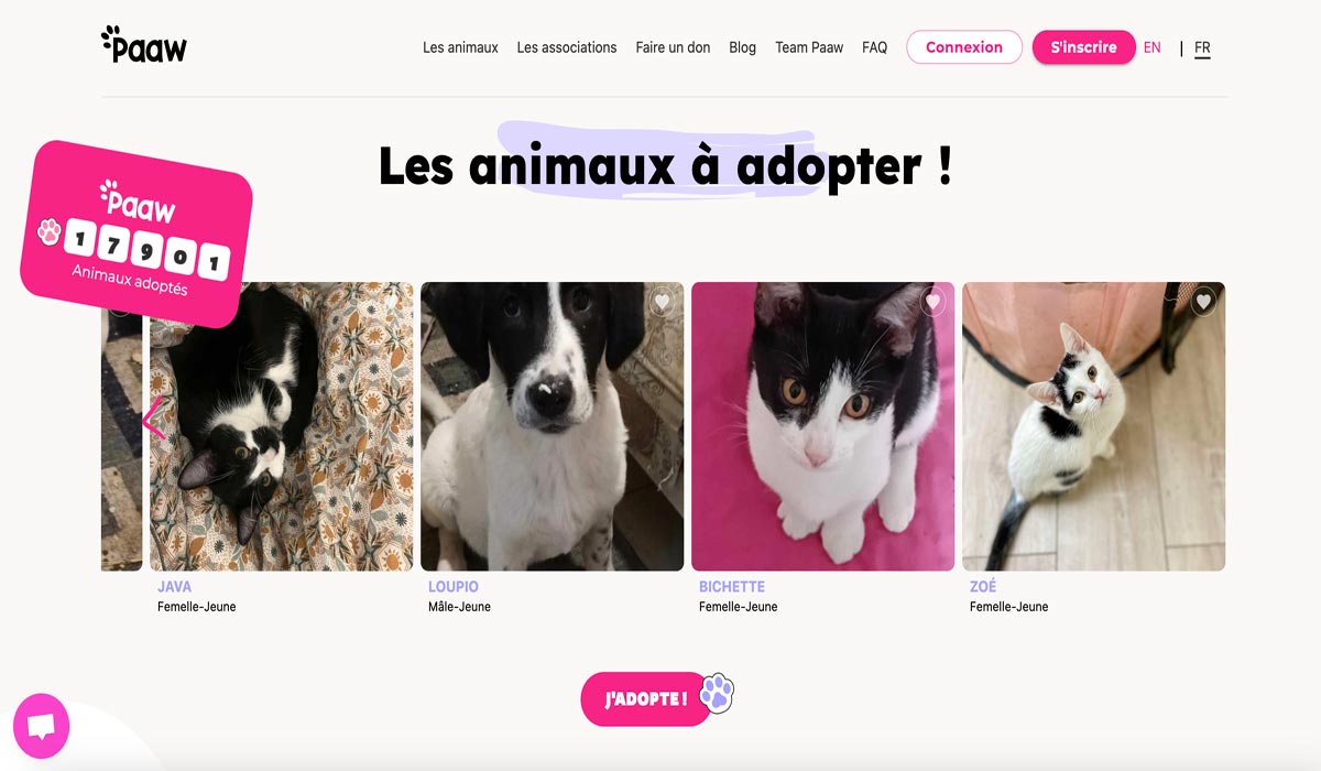 Paaw : une révolution pour adopter un chien ou un chat en 2024