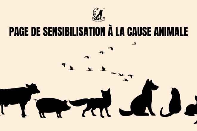 Les pages Protéger les animaux 