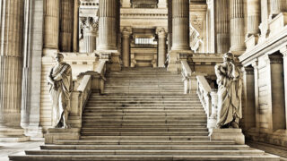 DÉLIBÉRÉ : Charnier de renards dans une rivière du Jura