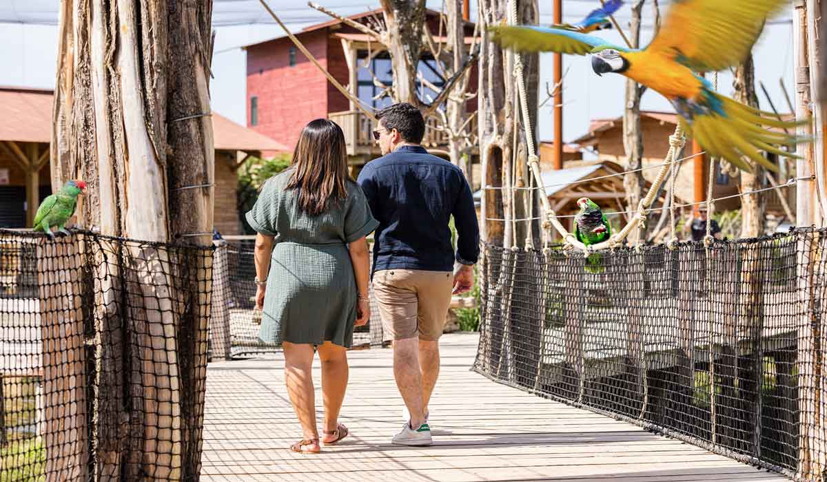 Parrot World rouvre ses portes le 7 février 2026. Une nouvelle saison entre immersion, engagement et découvertes