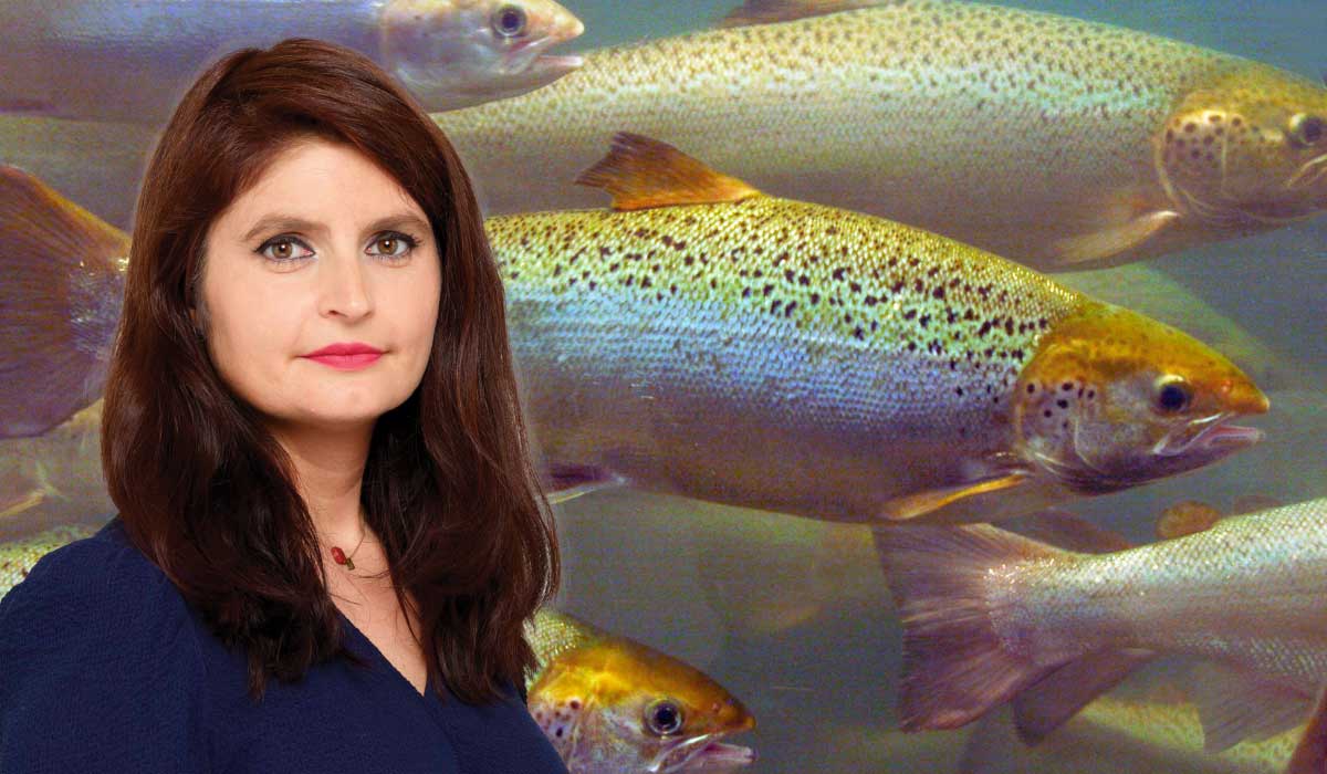 Ferme-usine Pure Salmon : le préfet doit dire non !