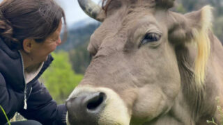 Patte Dans La Main : un sanctuaire itinérant qui cherche un lieu pour ancrer définitivement sa mission