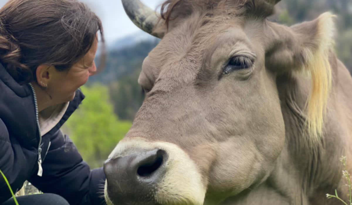 Patte Dans La Main : un sanctuaire itinérant qui cherche un lieu pour ancrer définitivement sa mission