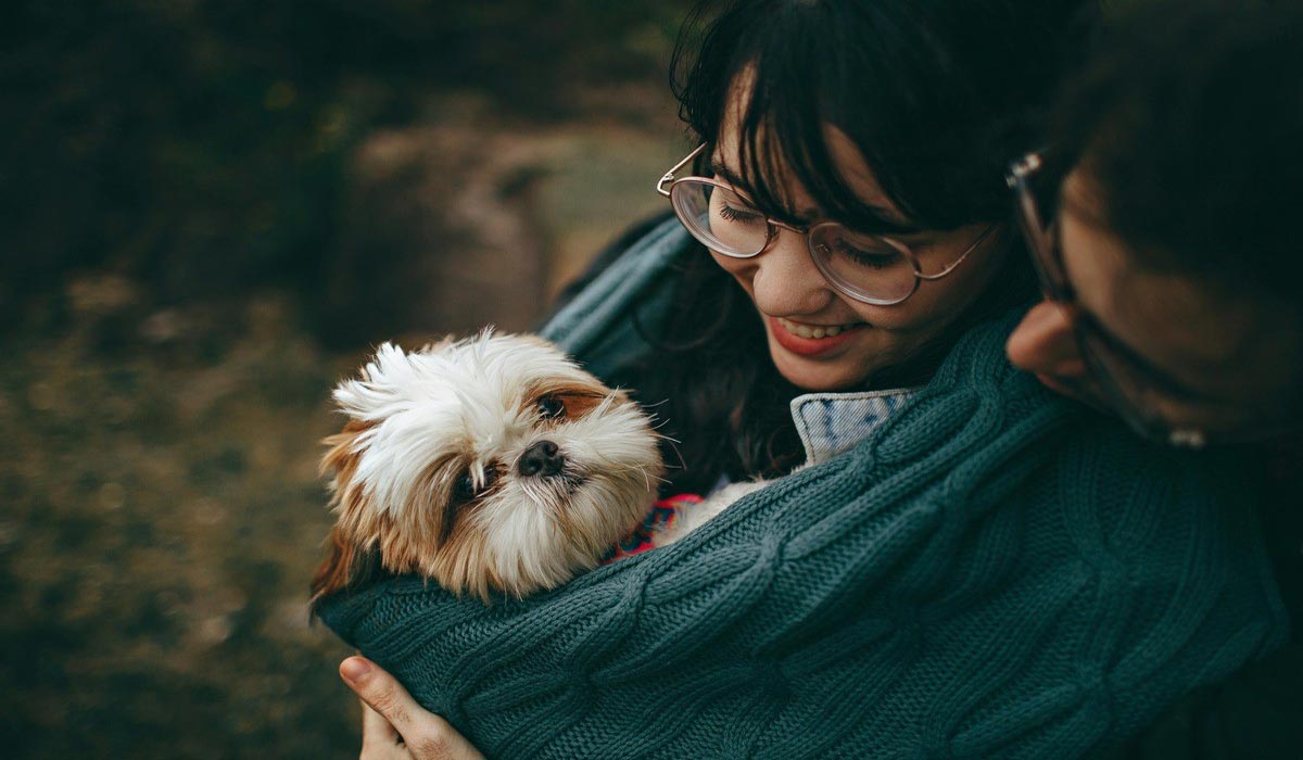 La révolution de la « pet parentalité » en France – Résultats de l’enquête Kantar pour Veternity France de mai 2025