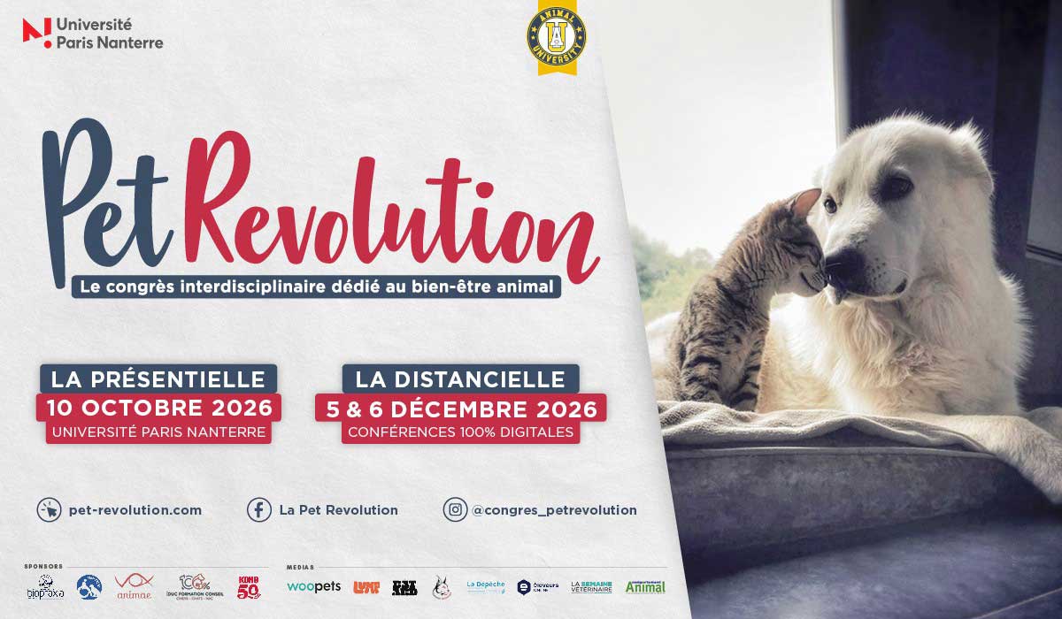 La Pet Revolution revient en 2026 – Le congrès de référence dédié au bien-être animal La Pet Revolution revient en 2026 – Le congrès de référence dédié au bien-être animal
