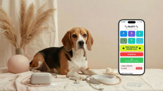 Comment une urgence avec mon Beagle Paco a donné naissance à Pet911