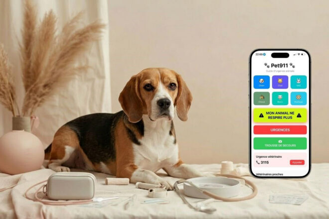 Comment une urgence avec mon Beagle Paco a donné naissance à Pet911