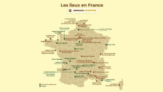 Où partir cet été avec ses animaux ?