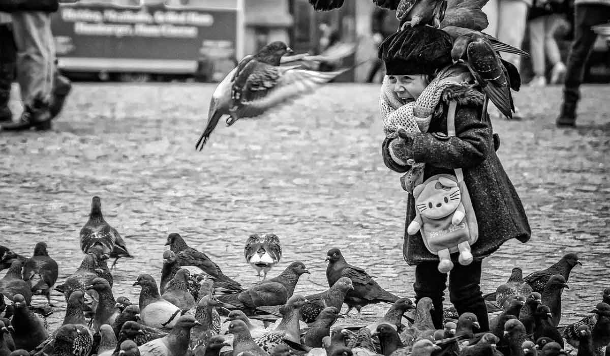 Petite enfance et construction de l’empathie envers les animaux