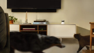 Petlibro lance Scout : la caméra pour animaux alimentée par IA