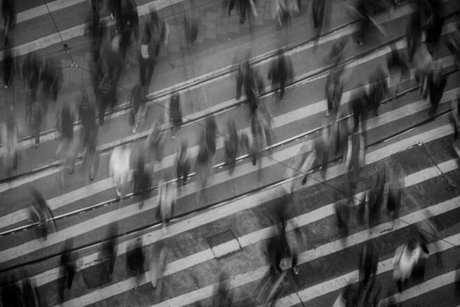 Démocratie participative : un levier d’action pour la condition animale ?