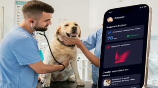 A l’occasion de la journée internationale du chien nous mettons en exergue notre dispositif qui veille sur leur santé