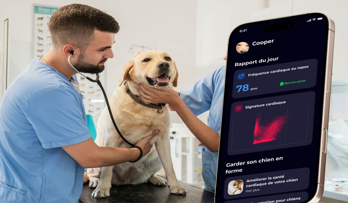 A l’occasion de la journée internationale du chien nous mettons en exergue notre dispositif qui veille sur leur santé