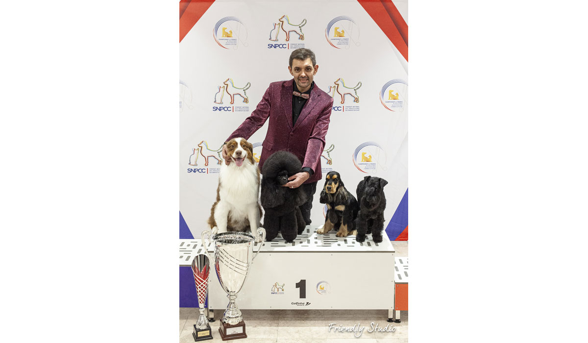 Mathieu Feuillet, sacré meilleur toiletteur de France Mathieu Feuillet, sacré meilleur toiletteur de France