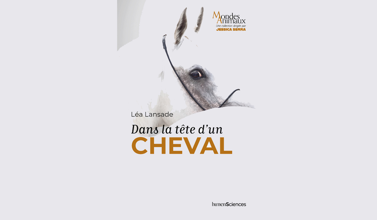 Dans la tête d’un cheval, de Léa Lansade