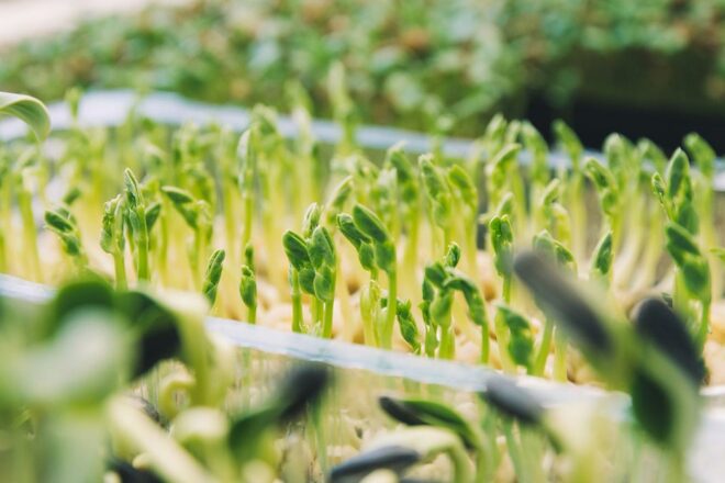 Une première en France : un collectif accompagne les éleveurs en quête de changement