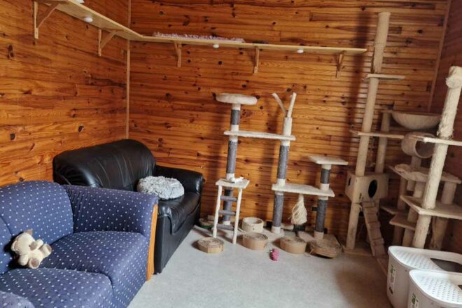 Association Chat’Krat