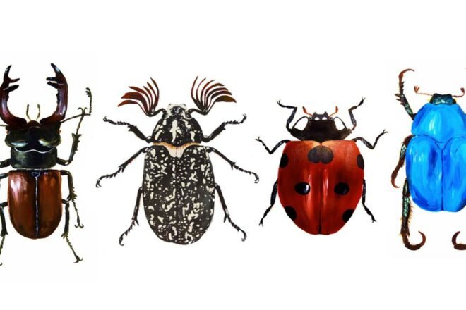 L’appel de la nature