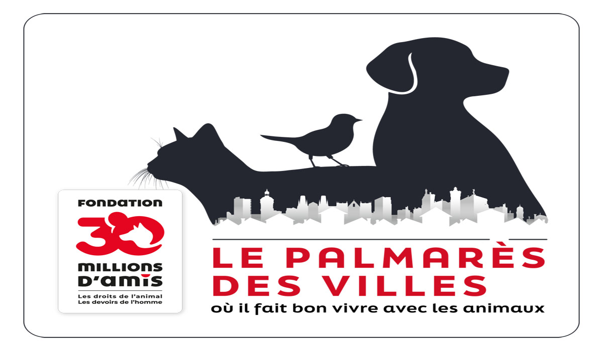 11 Palmarès des villes où il fait bon vivre avec les animaux – La ville de Grenoble en tête