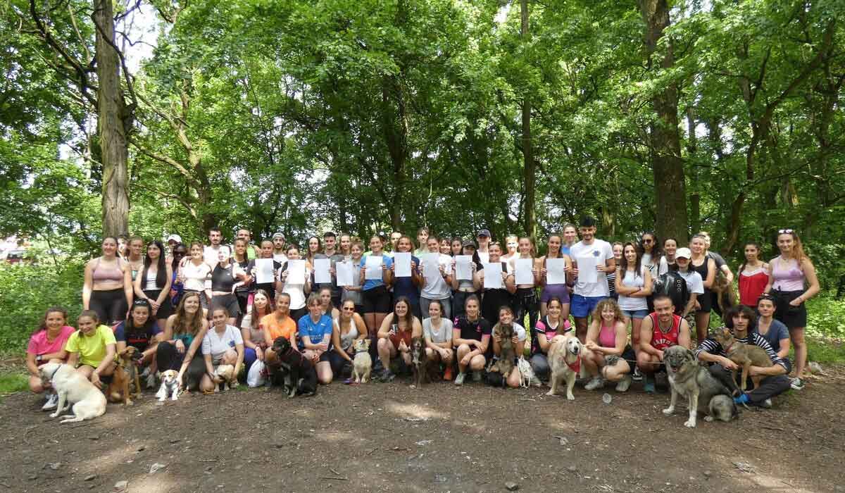 L’association Car’Pattes vient en aide aux chiens errants en Roumanie